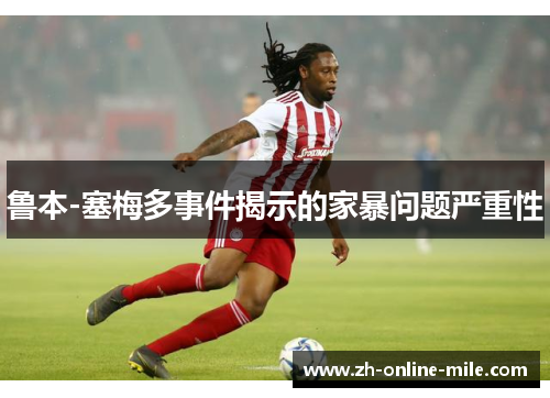 鲁本-塞梅多事件揭示的家暴问题严重性