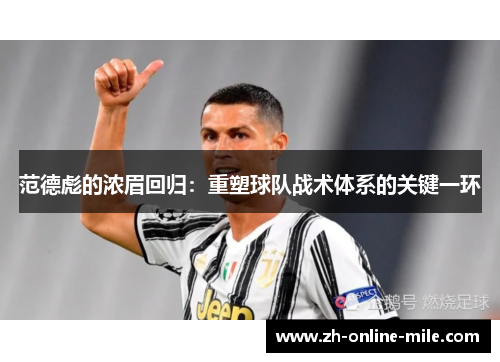 范德彪的浓眉回归：重塑球队战术体系的关键一环