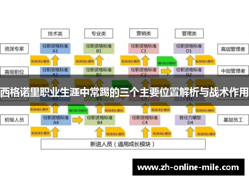 西格诺里职业生涯中常踢的三个主要位置解析与战术作用