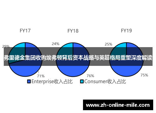 弗里德金集团收购埃弗顿背后资本战略与英超格局重塑深度解读
