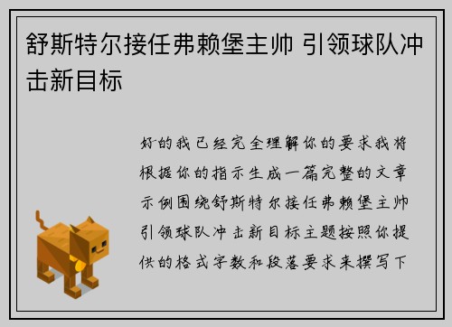 舒斯特尔接任弗赖堡主帅 引领球队冲击新目标 舒斯特尔接任弗赖堡主帅 引领球队冲击新目标
